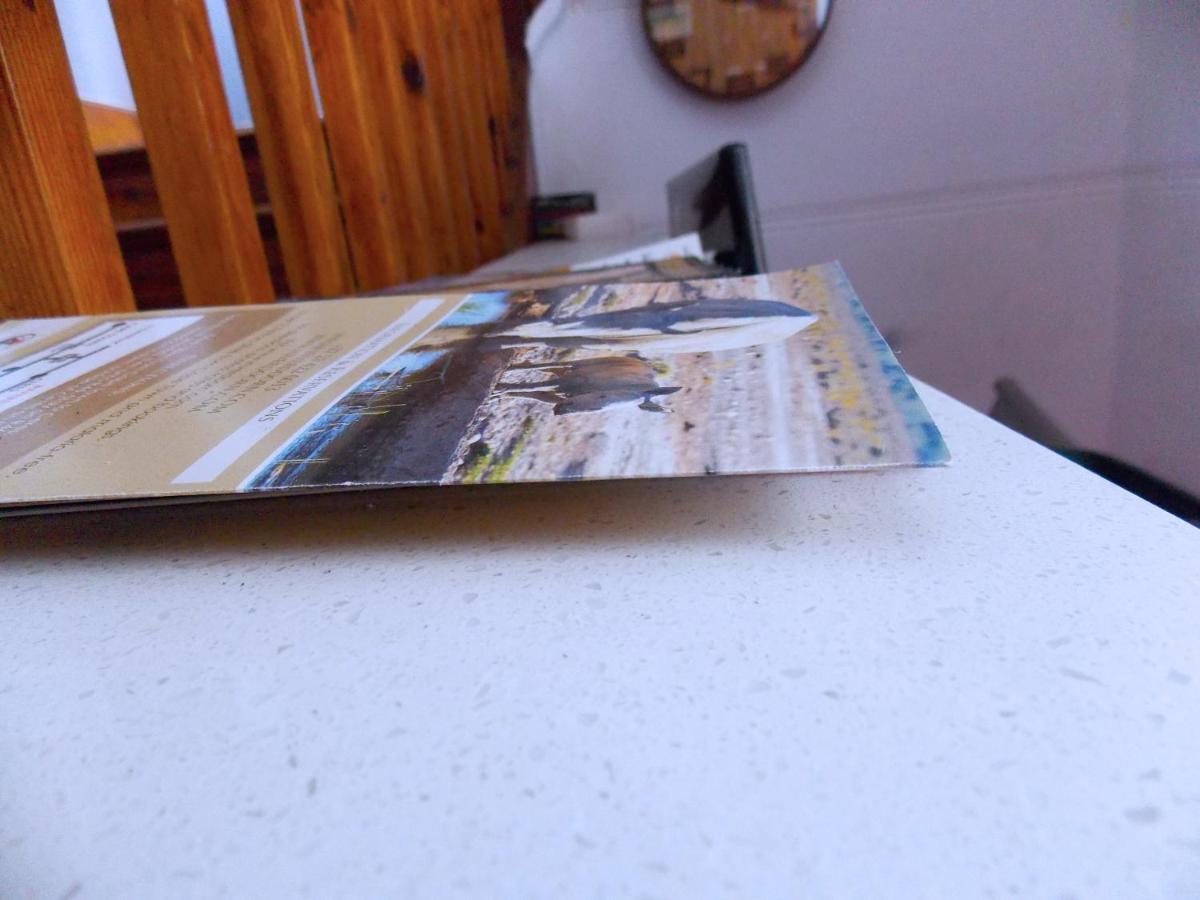 Trap Houz Backpackers Hostel Κέιπ Τάουν Εξωτερικό φωτογραφία